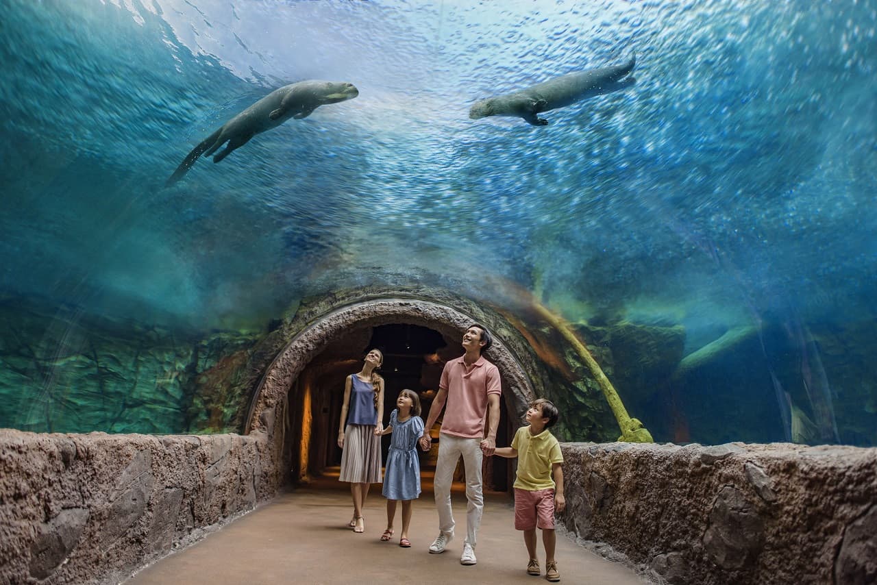 Mandai Destination Pass: Up to 2 Attractions in 1 Day - image 14