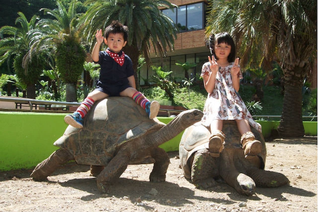 iZoo Sensory Zoo Ticket - image 3