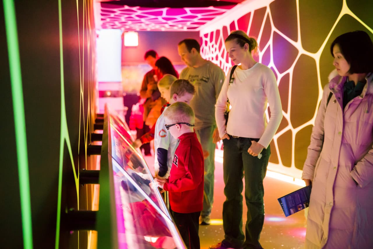 Go City Chicago All-Inclusive Pass: Save up to 50% on Attractions - image 31