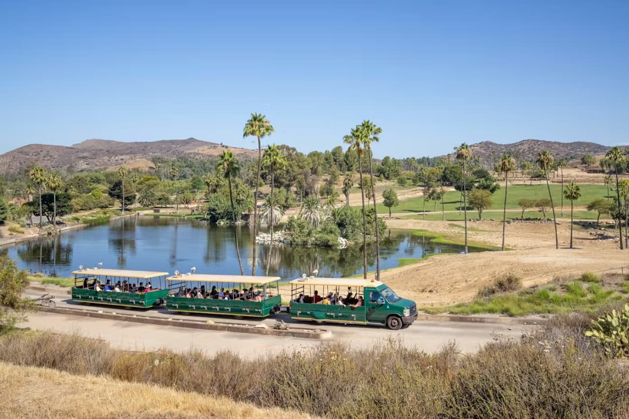 2-Visit Pass: San Diego Zoo + San Diego Zoo Safari Park Tickets - image 11