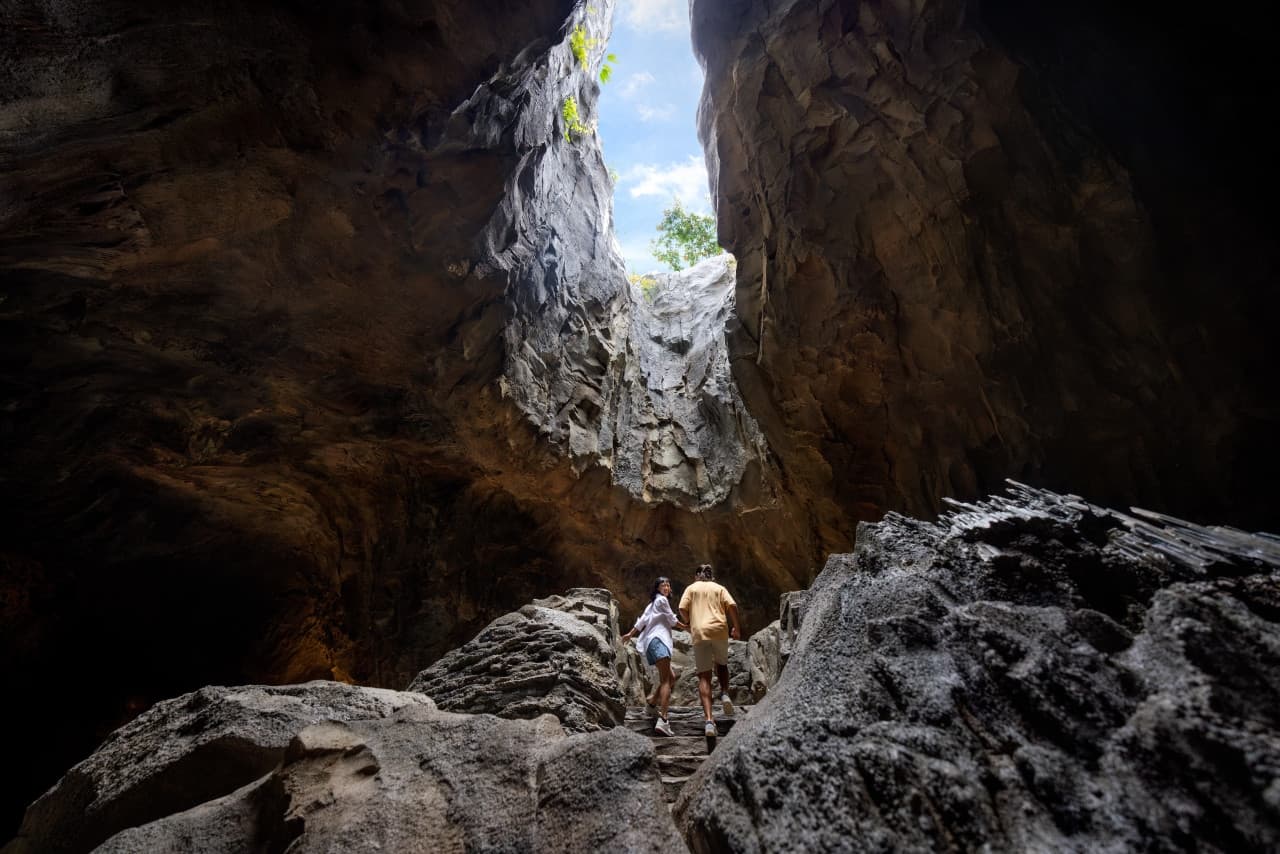 Mandai Destination Pass: Visit Up to 6 Attractions in 1 or 5 Days - image 24