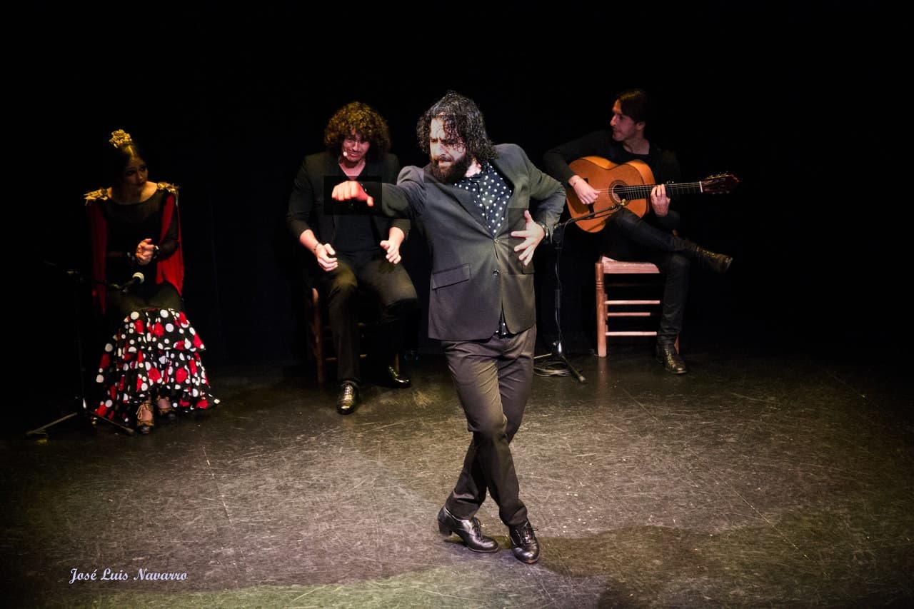 Flamenco Show at Triana Theater - image 2
