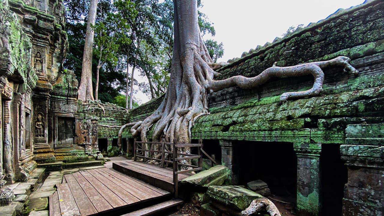 Angkor Temples Sunrise Tour by Tuk-Tuk - image 4