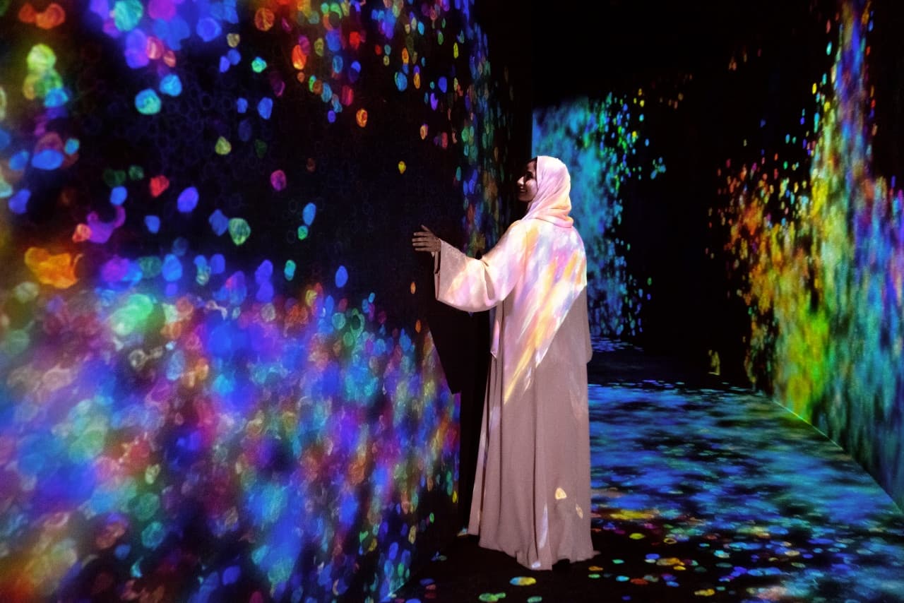 COMBO: teamLab Phenomena Ticket + Big Bus Abu Dhabi Hop-on Hop-off Bus Tour - main image