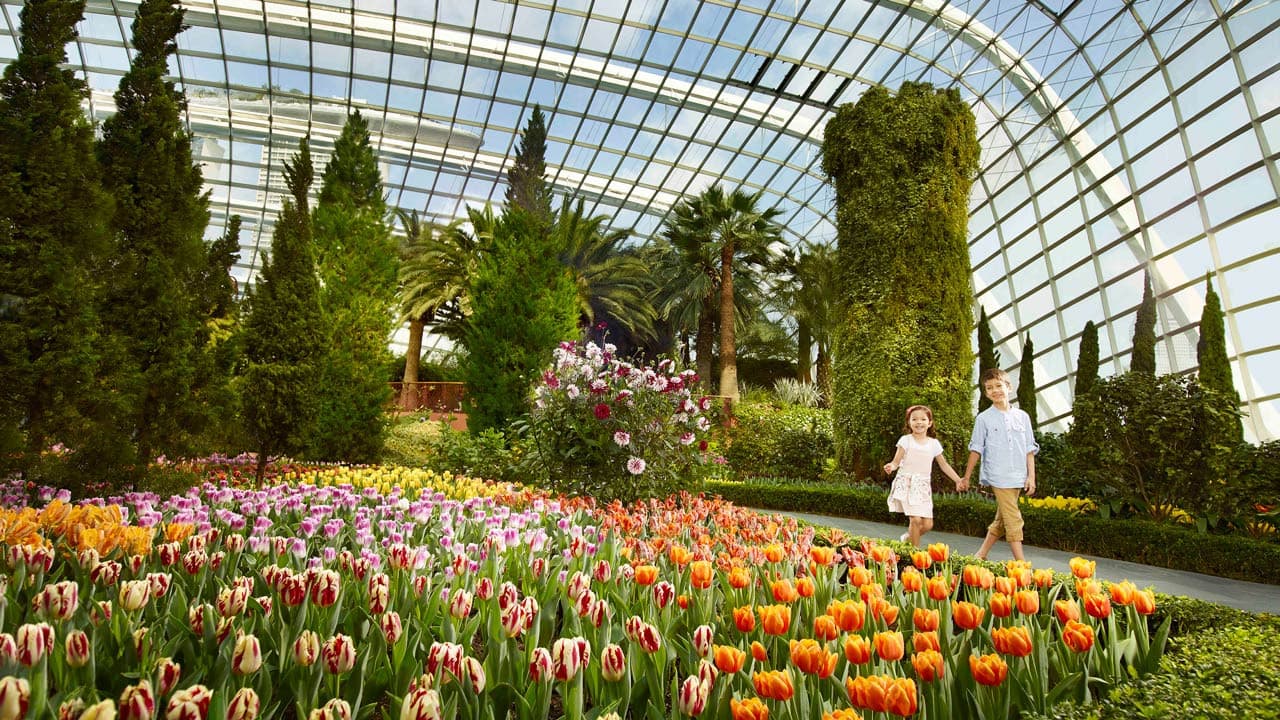 COMBO: Singapore Cable Car + Gardens by the Bay Ticket - image 7