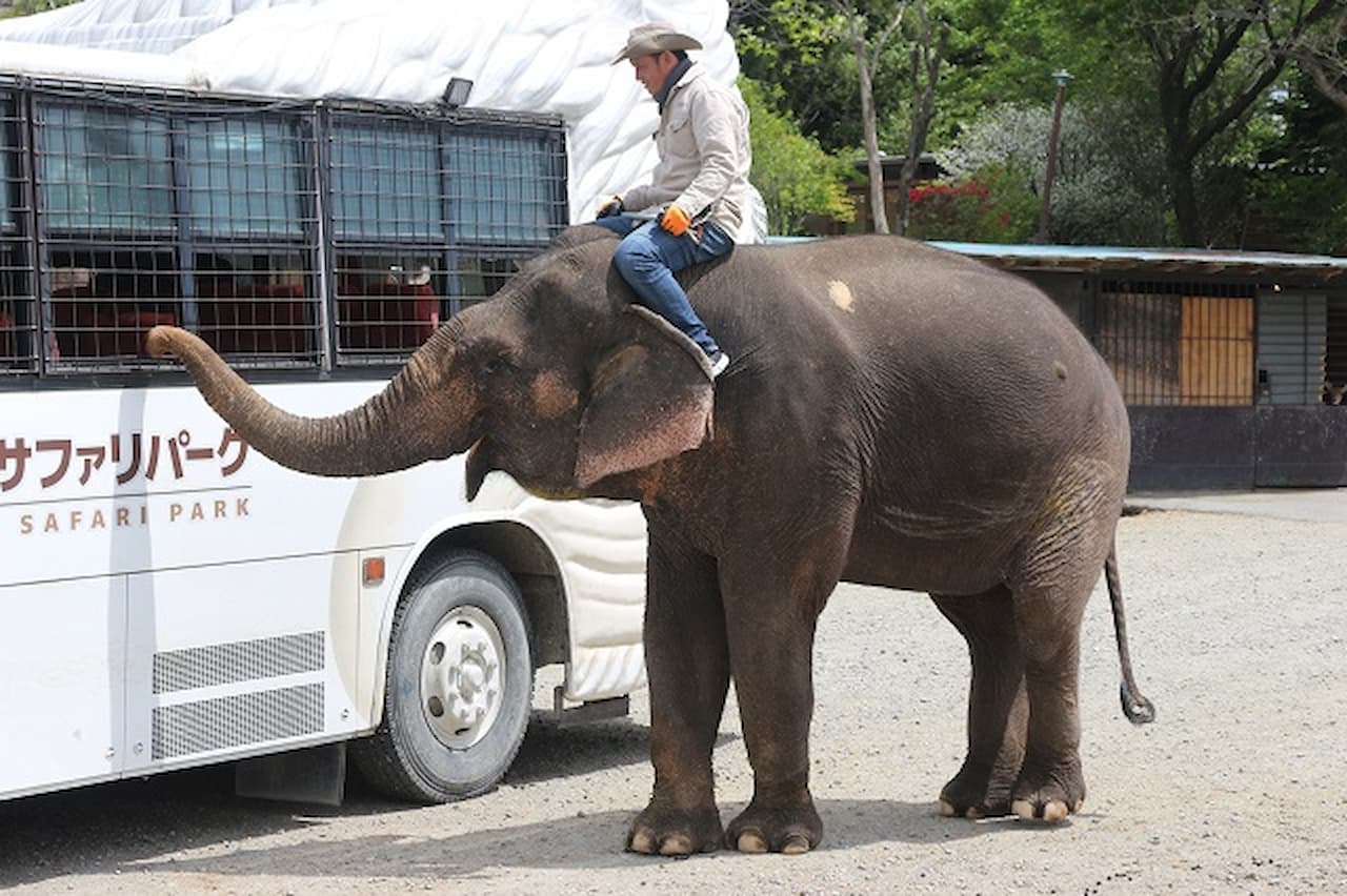 Nasu Safari Park Ticket - image 2