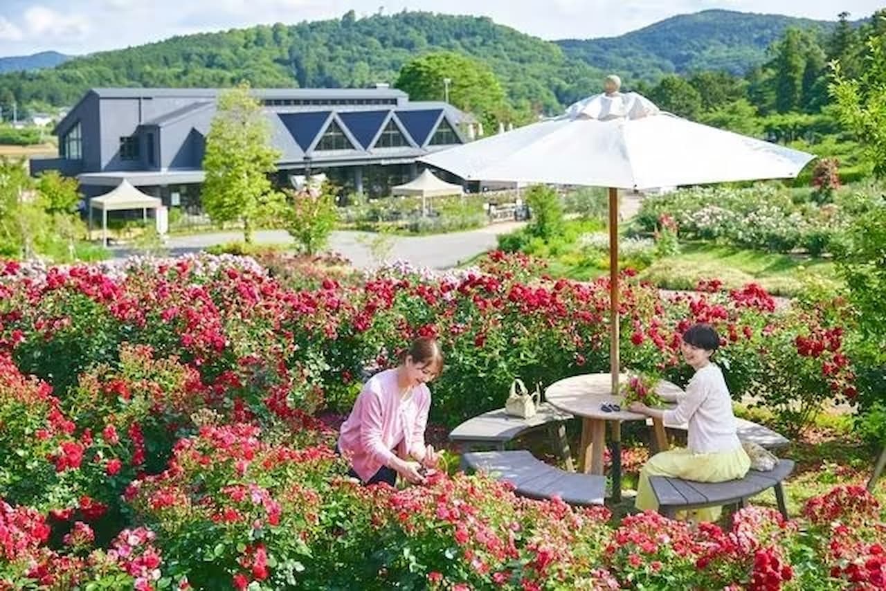 Ibaraki Flower Park Ticket - image 4