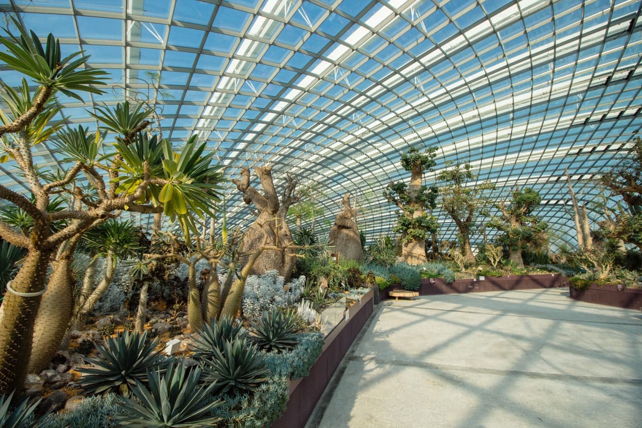 COMBO: Gardens by the Bay - Double Conservatories + Floral Fantasy Ticket - image 11