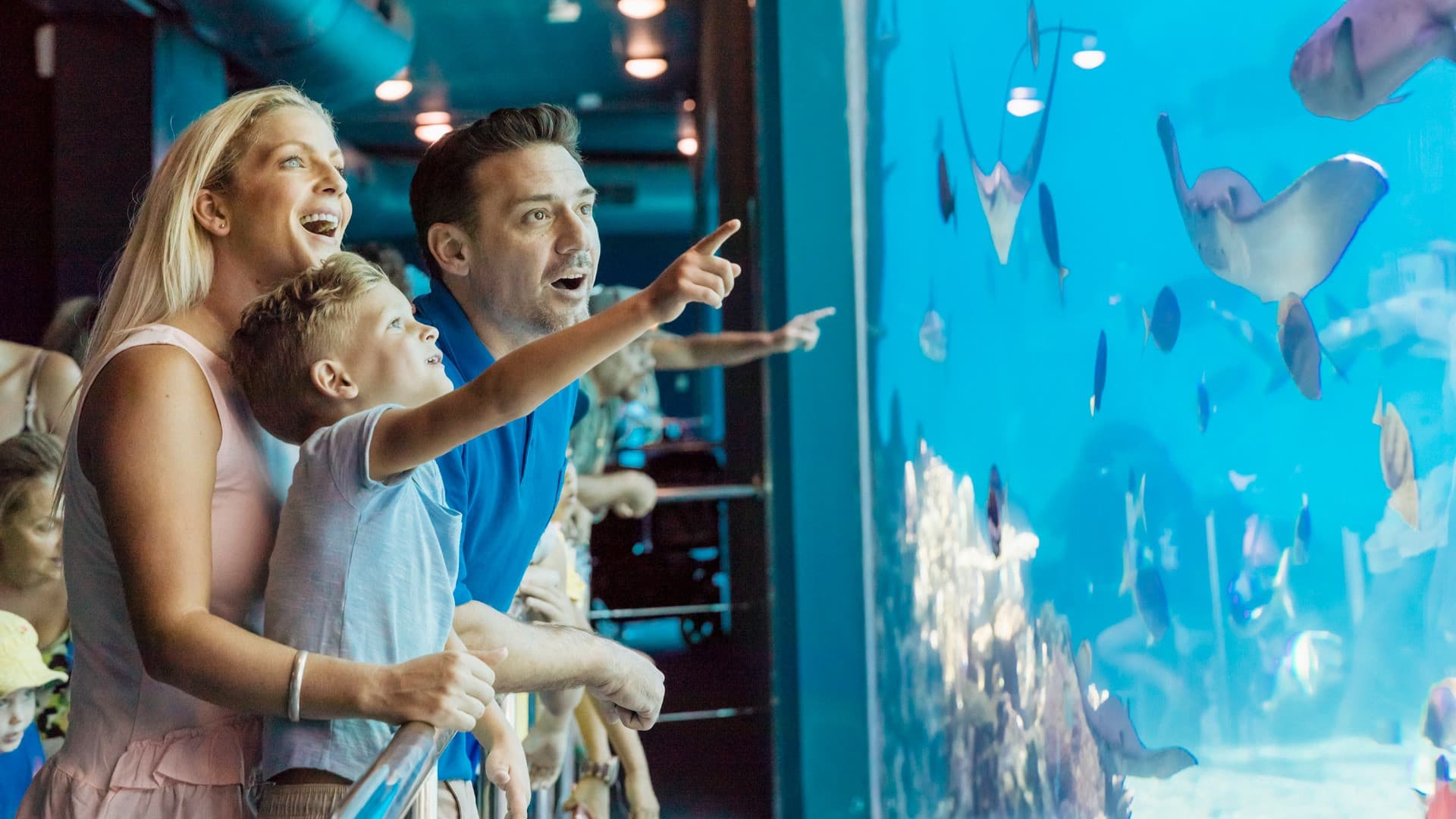 Sea World and Paradise Country Ticket - image 5