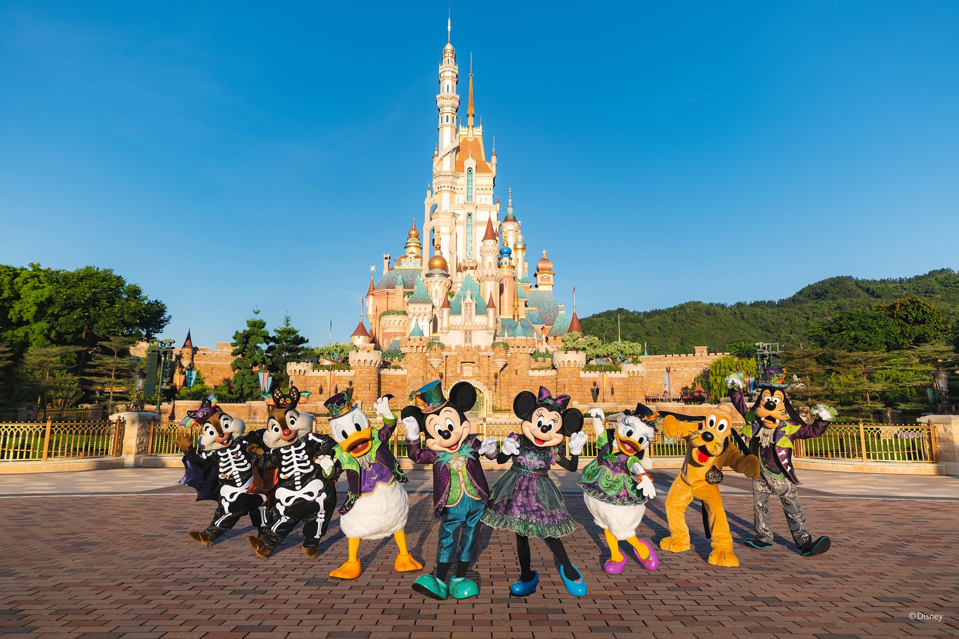 Hong Kong Disneyland Park Ticket - image 2
