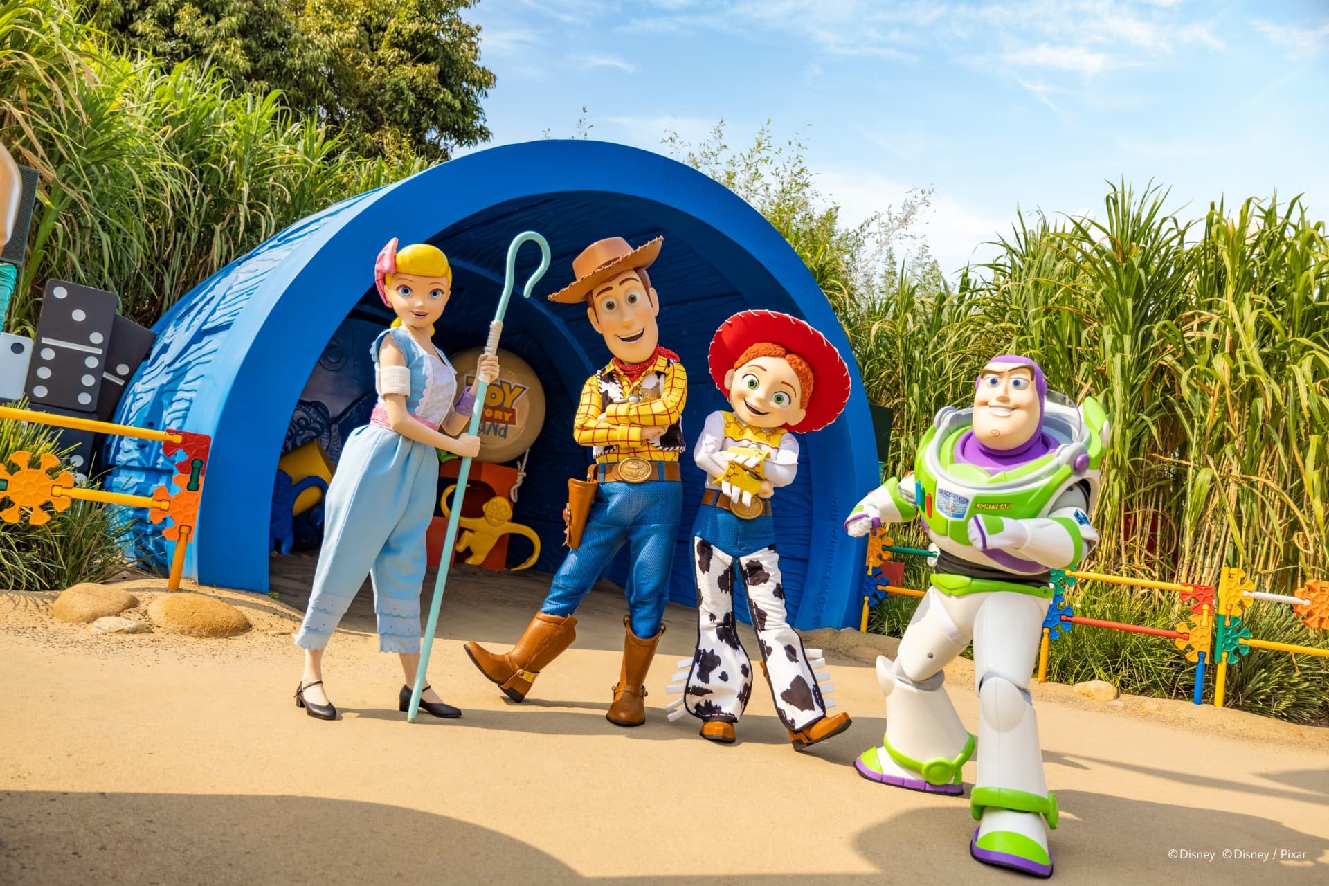 Hong Kong Disneyland Park Ticket - image 9