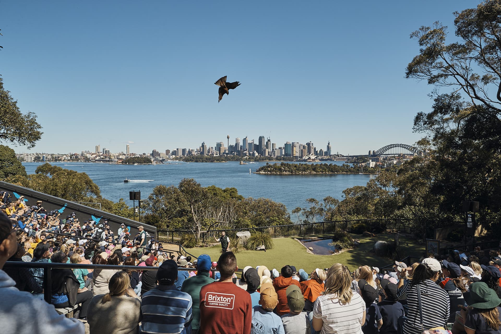 Go City Sydney All-Inclusive Pass: Save up to 50% on Attractions - image 11