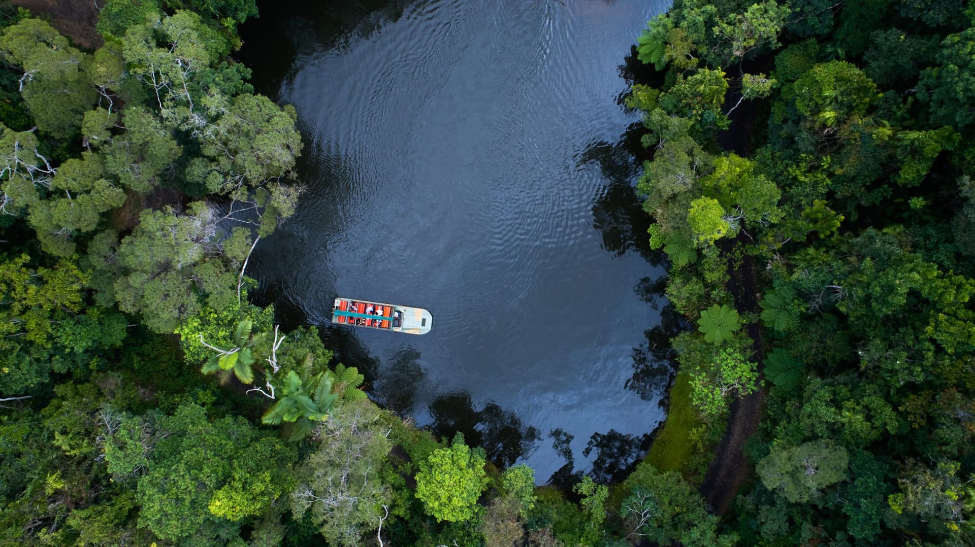 Kuranda Rainforestation Nature Park Full-Day Tour from Cairns - main image