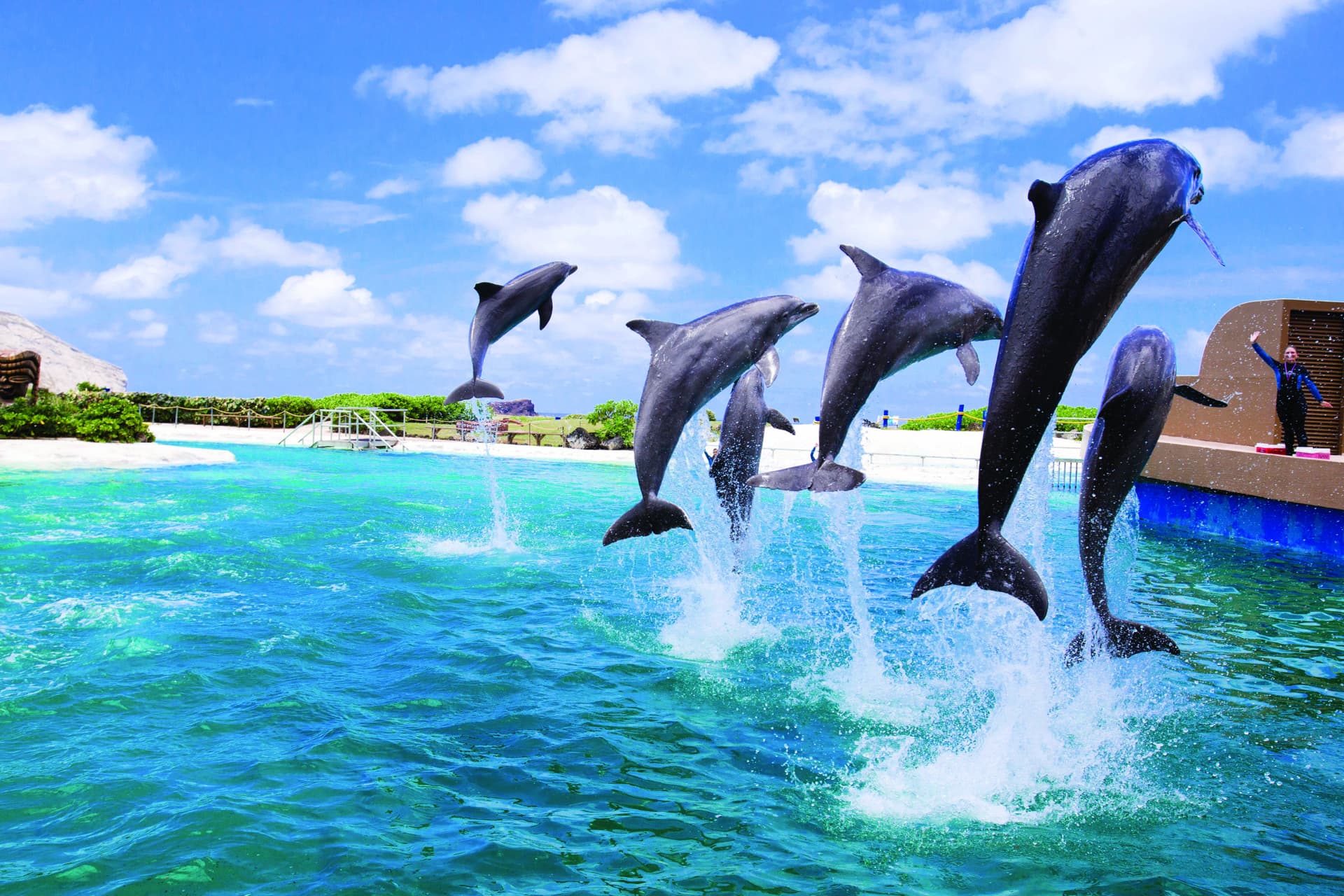 Go City Oahu Explorer Pass: Save up to 50% on Attractions - image 13