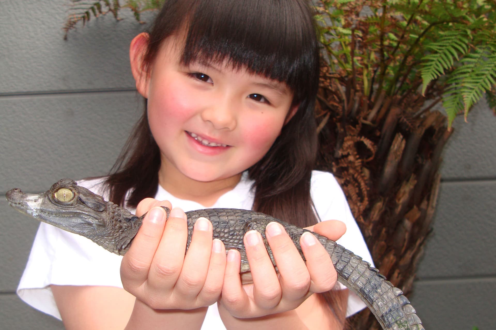 iZoo Sensory Zoo Ticket - image 2