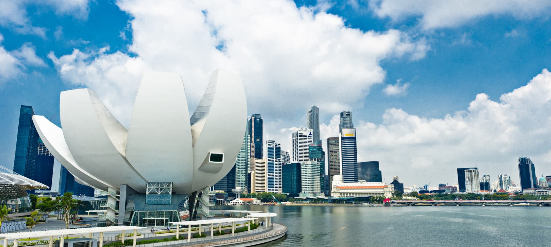 COMBO: Gardens by the Bay + Marina Bay Sands SkyPark Observation Deck + ArtScience Museum Tickets - image 6