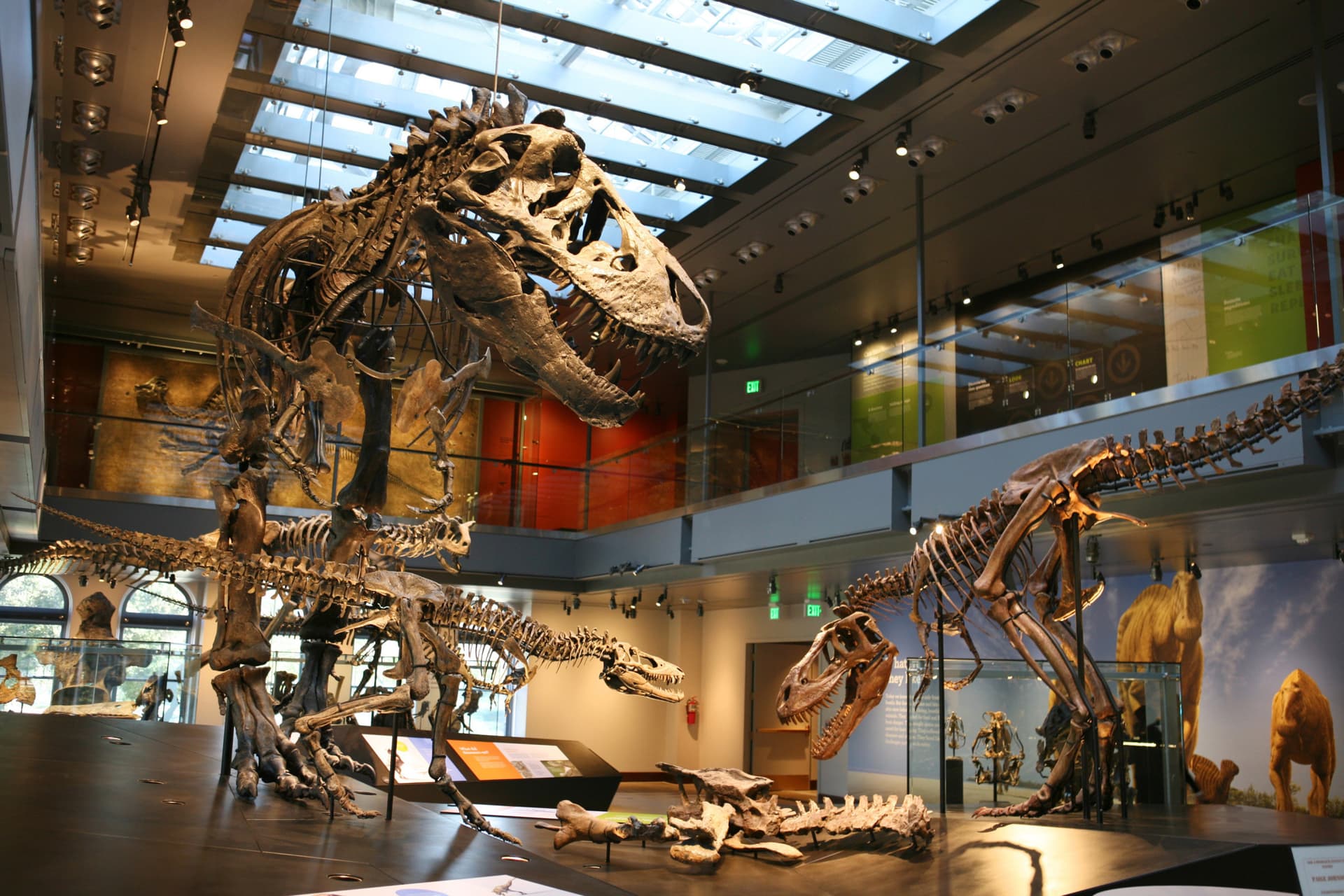 Go City Los Angeles All-Inclusive Pass: Save up to 50% on Attractions - image 5