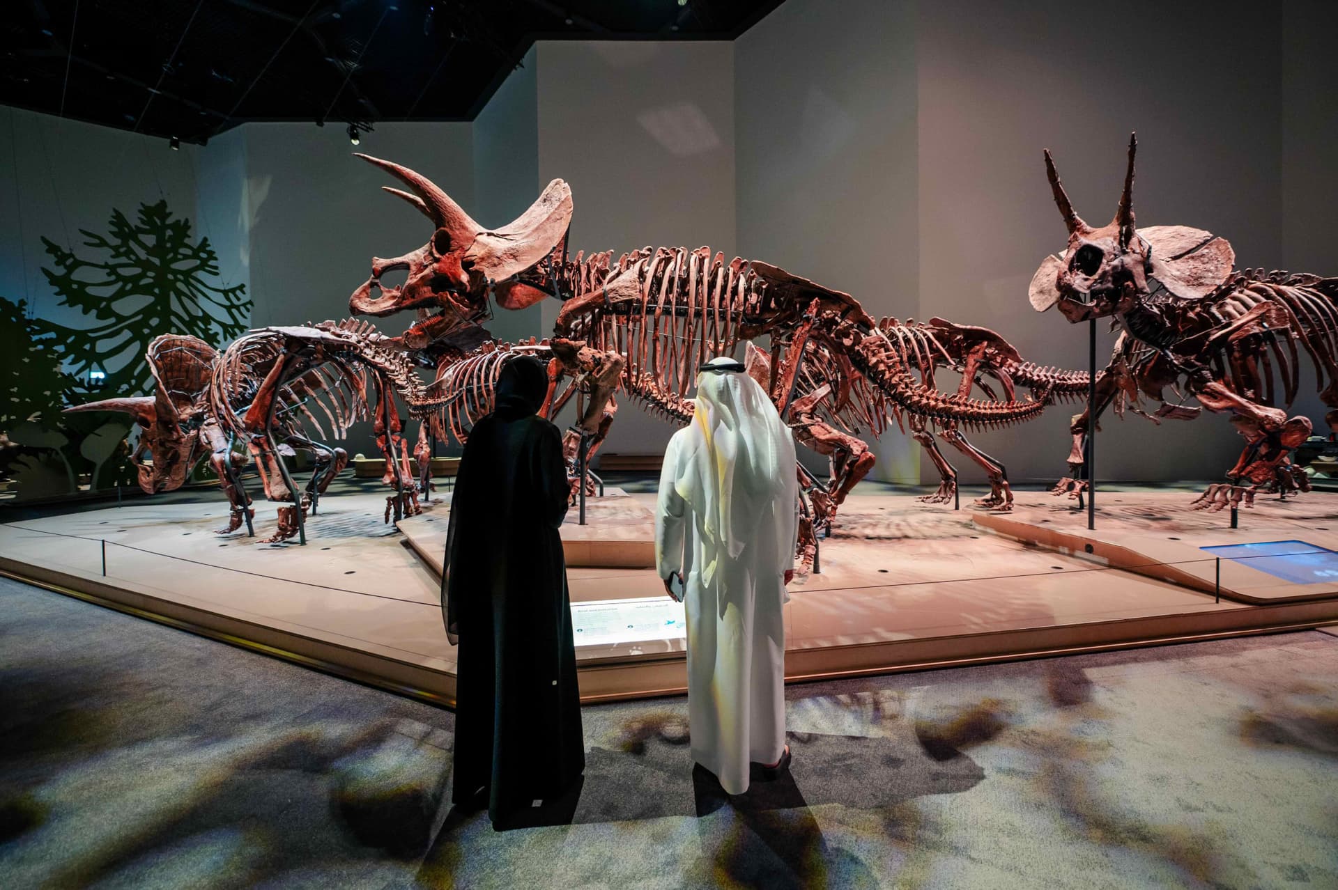 Museum Pass: Zayed National Museum + Natural History Museum Abu Dhabi Tickets - image 6