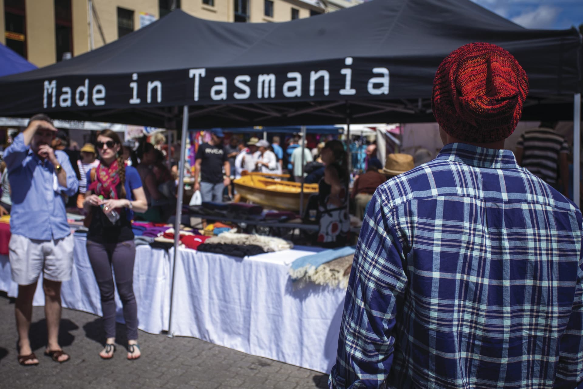 Bonorong Wildlife Sanctuary and Hobart City Tour - image 12