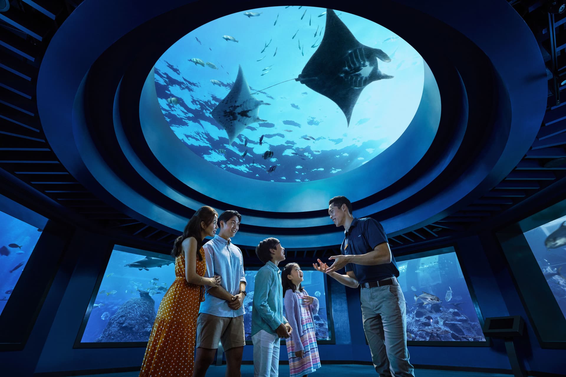 COMBO: Universal Studios Singapore + Singapore Oceanarium + Adventure Cove Waterpark Tickets - image 9