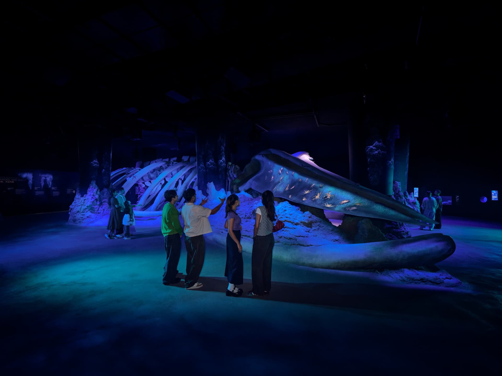 Singapore Oceanarium Ticket - image 2