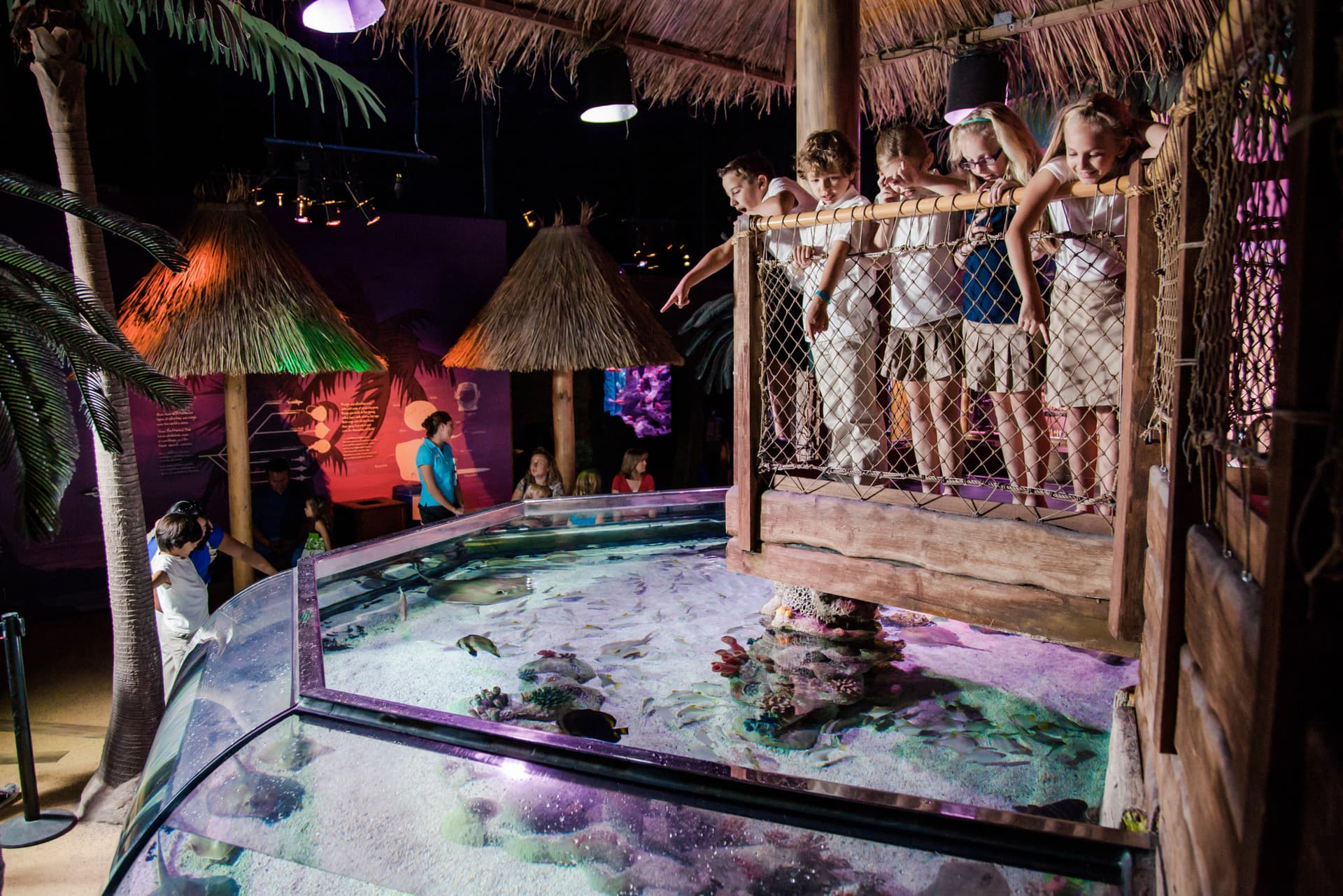 Go City San Antonio Essentials Pass: 3 Attractions - image 10