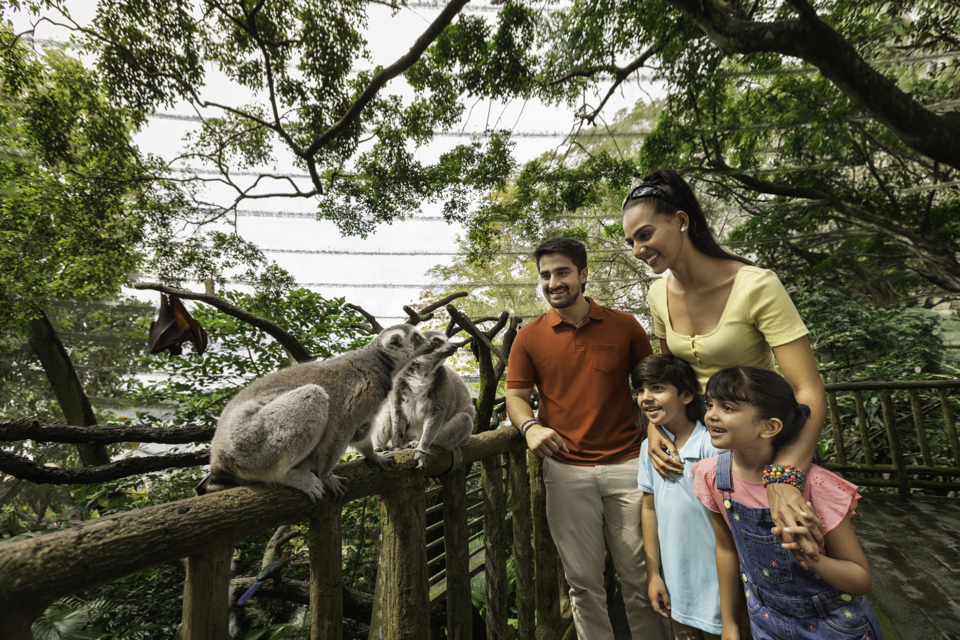 5-in-1 Day Pass: Night Safari + Singapore Zoo + Bird Paradise + River Wonders + Rainforest Adventure - image 9