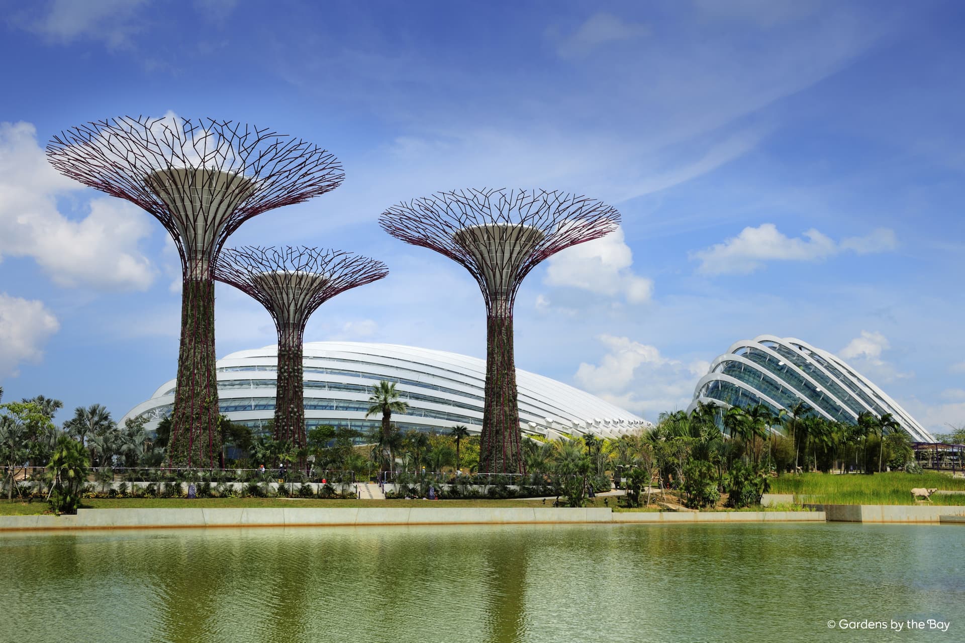 Gardens by the Bay Ticket - image 13