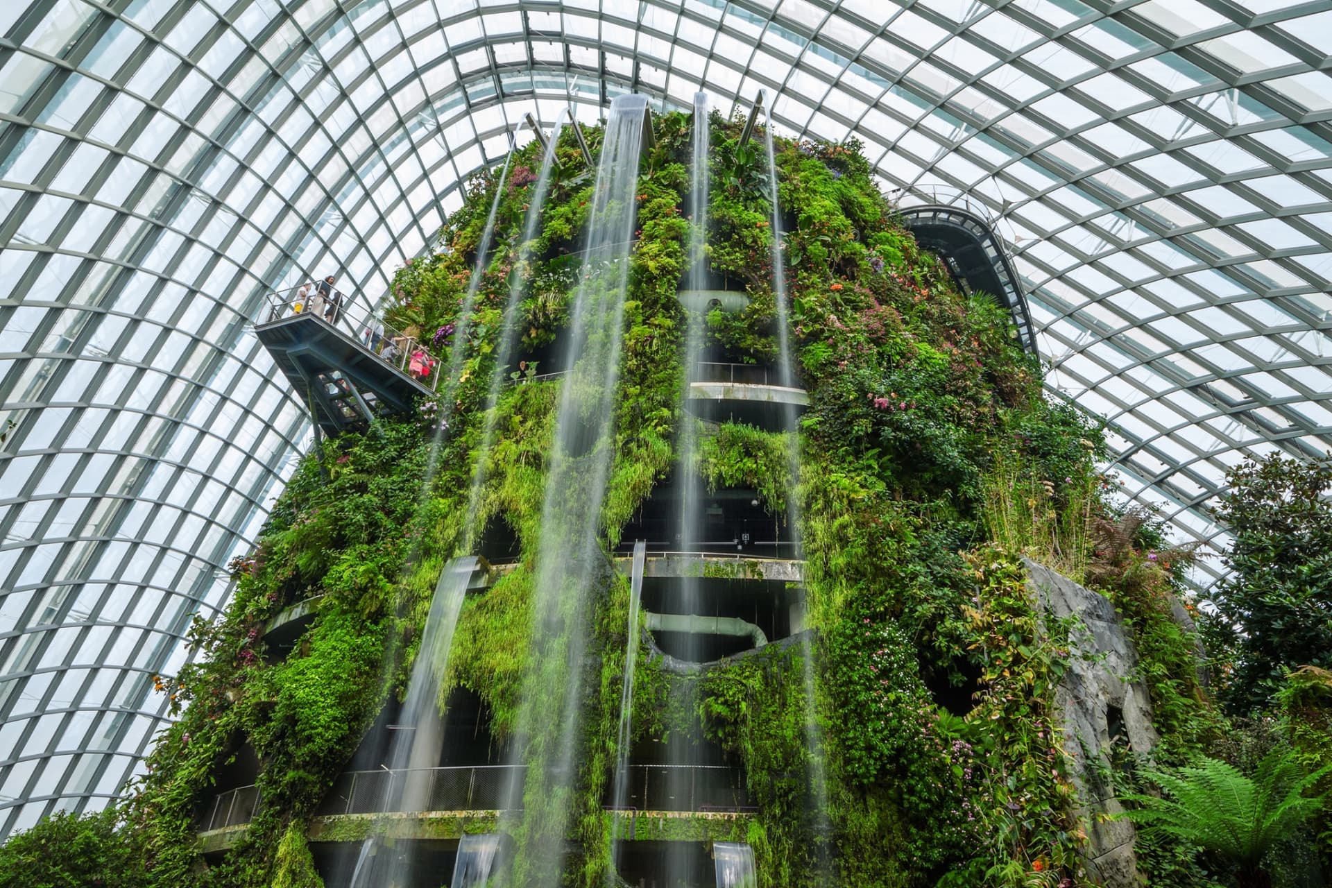 COMBO: Singapore Oceanarium + Gardens by the Bay Ticket - image 8