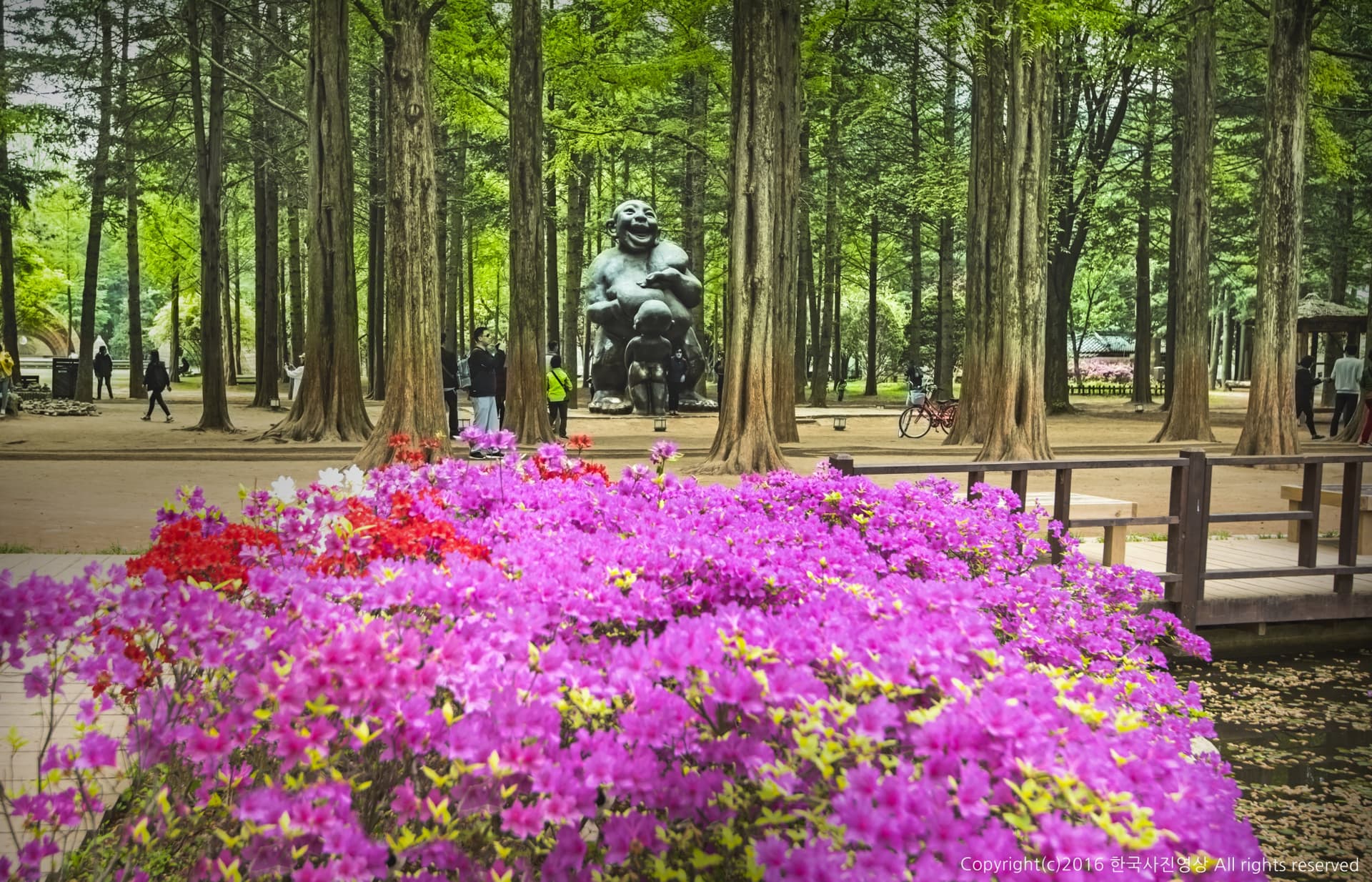 Nami Island, Petite France, and Italian Village Tour from Seoul - main image