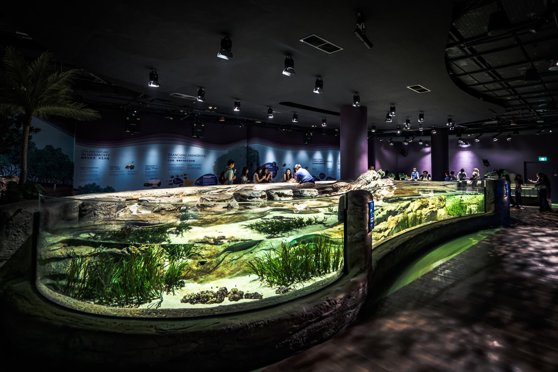 Singapore Oceanarium Ticket - image 10