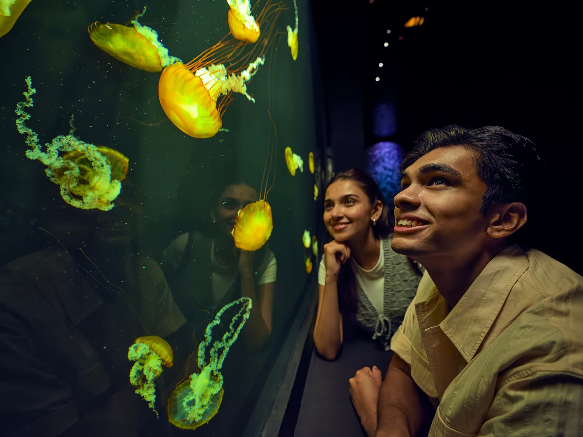 Singapore Oceanarium Ticket - image 6