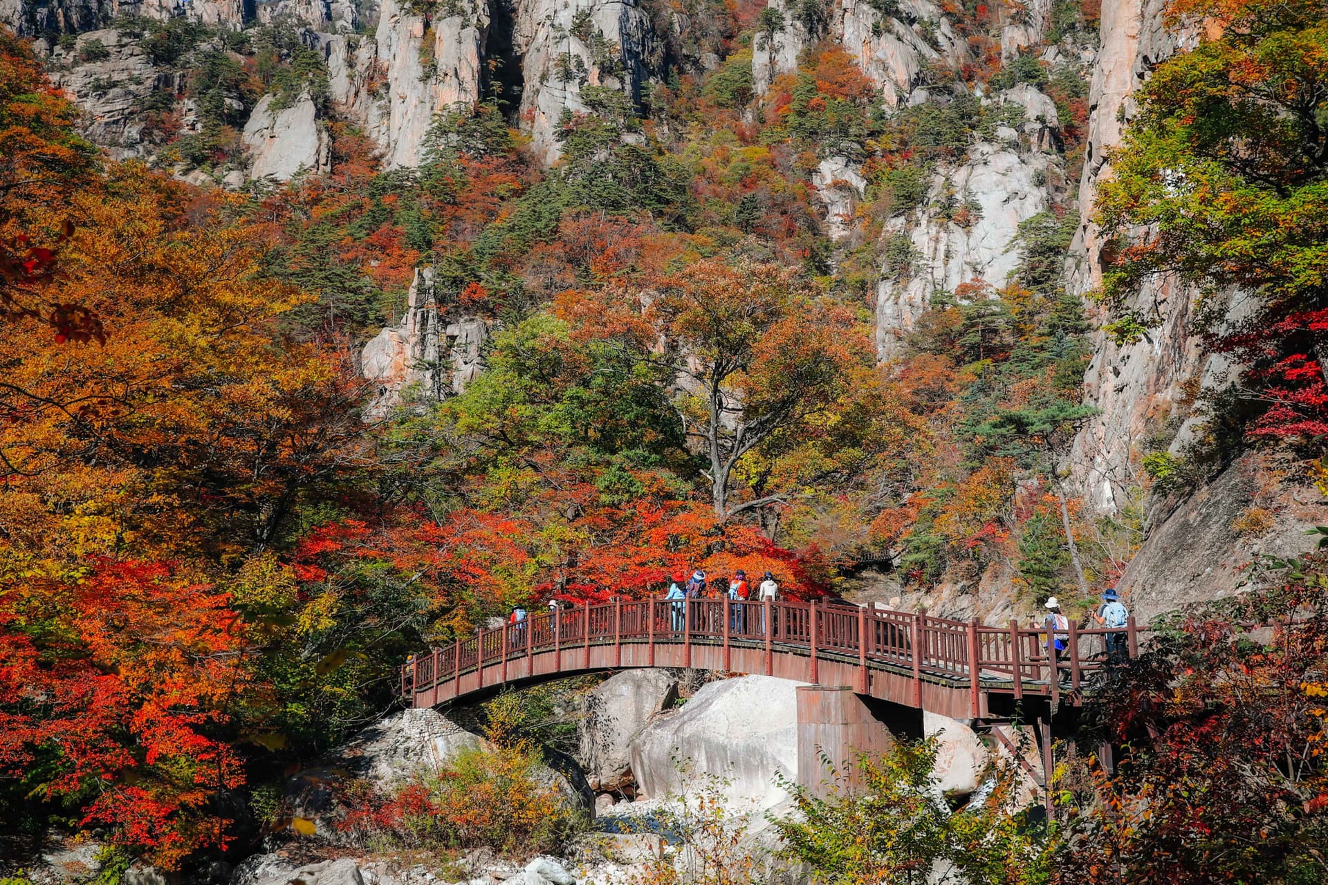 Nami Island and Mount Seorak Full-Day Tour from Seoul - main image