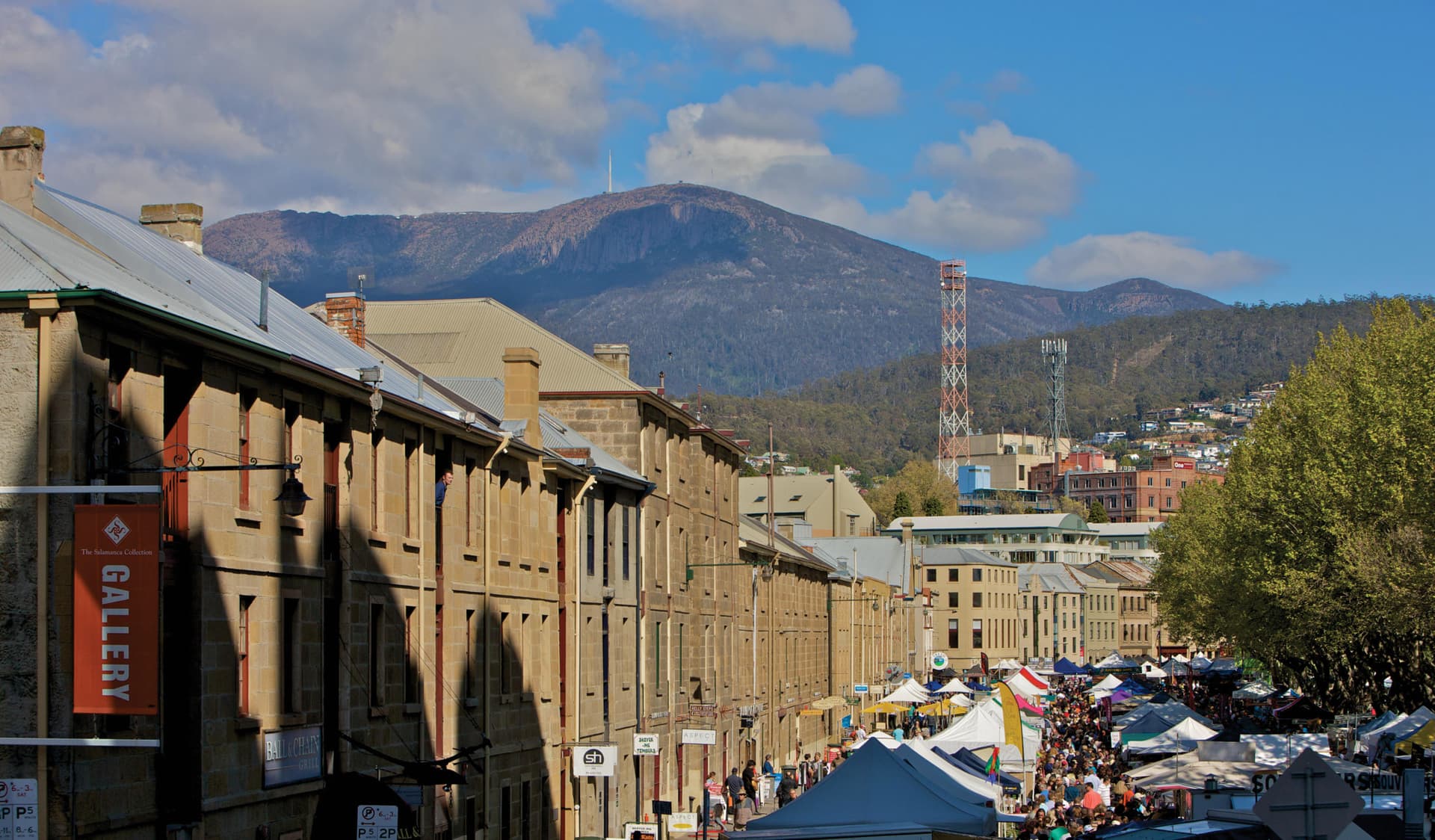 Bonorong Wildlife Sanctuary and Hobart City Tour - image 15