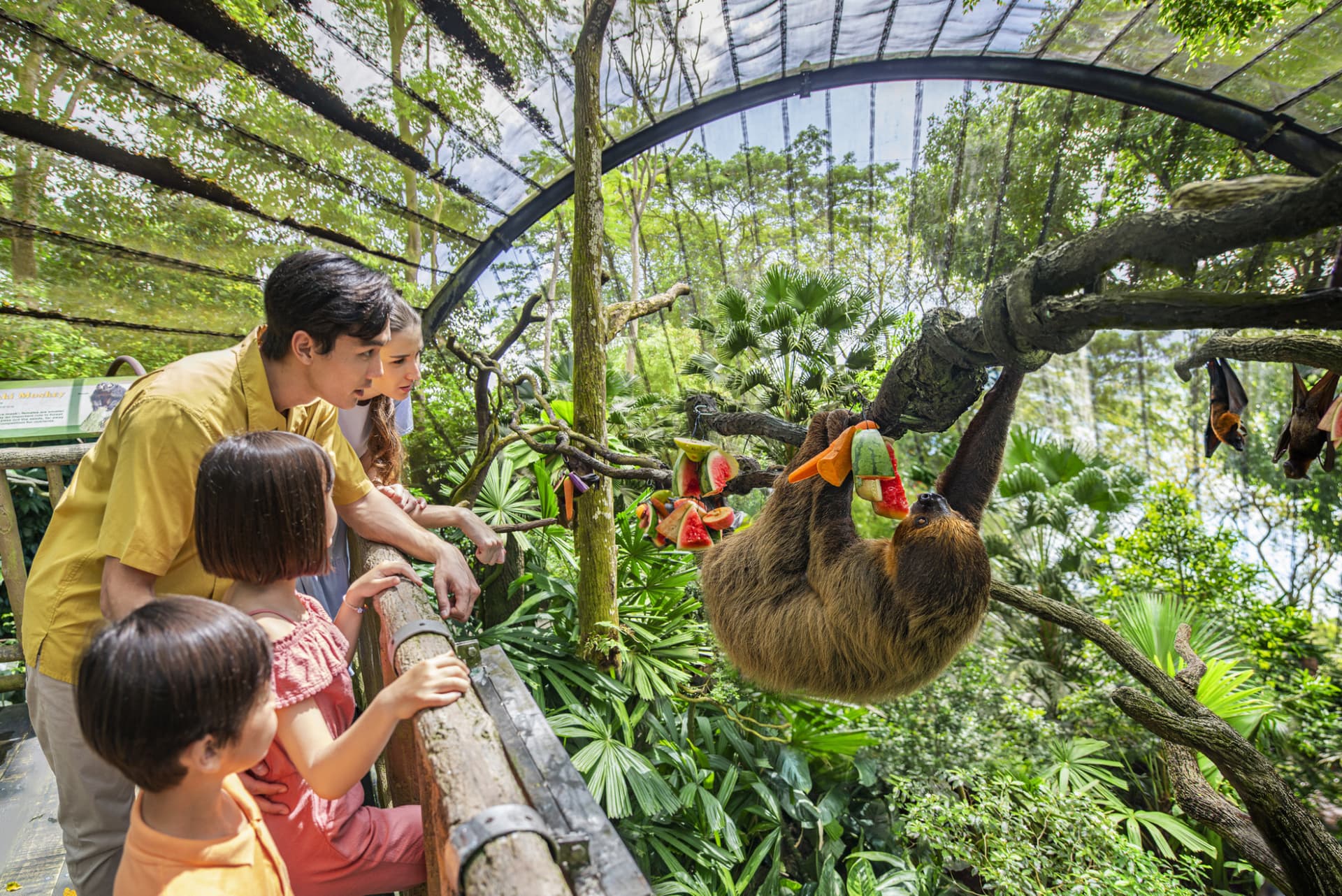 COMBO: Singapore Zoo + River Wonders Ticket - image 6