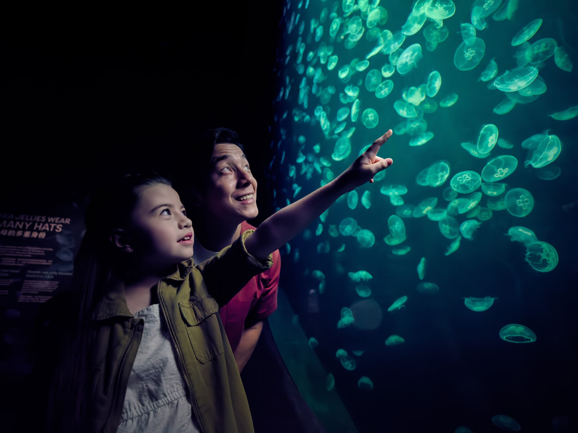 Singapore Oceanarium Ticket - image 8