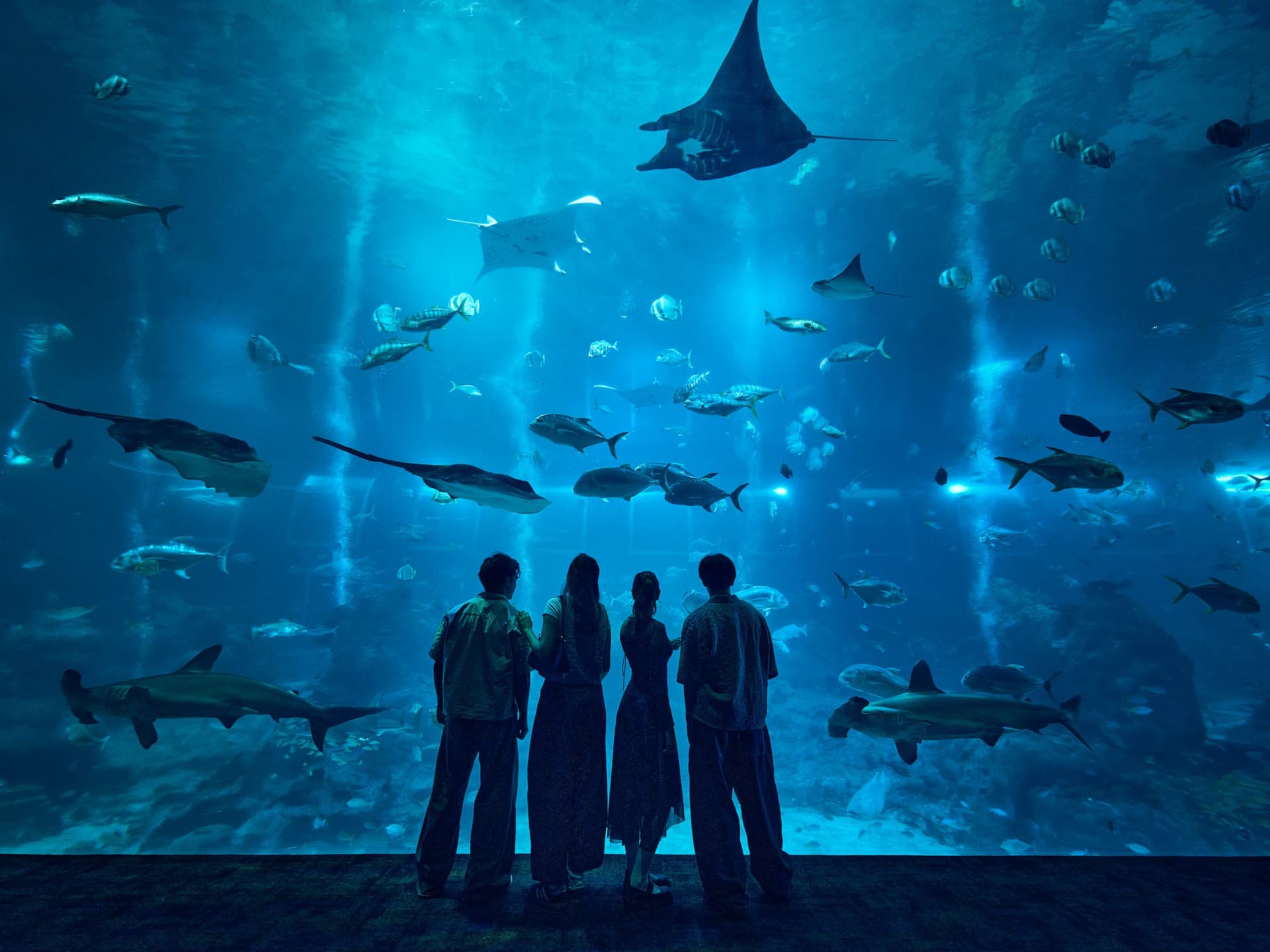 Singapore Oceanarium Ticket - image 4