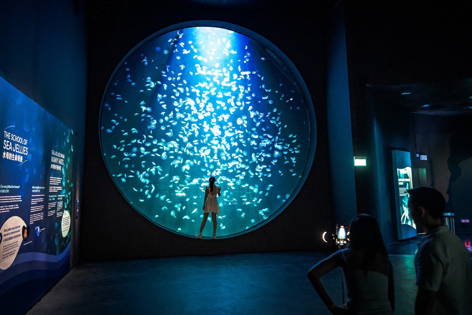 COMBO: Singapore Oceanarium + Gardens by the Bay Ticket - main image